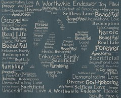 Schultefam6 tshirt logo