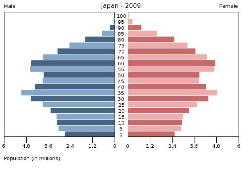 新興国ビジネス 人口ピラミッド