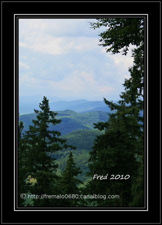 IMG_8100_sign_e