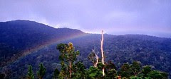 genting