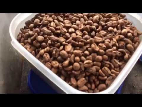 Obat Kuat Murah Tradisional - Kopi Hitam