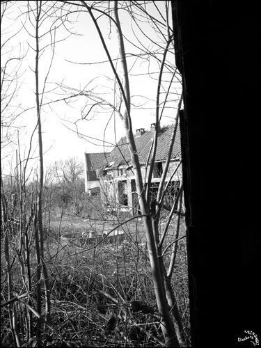 Photo ombre lumiere noir et blanc douce folie