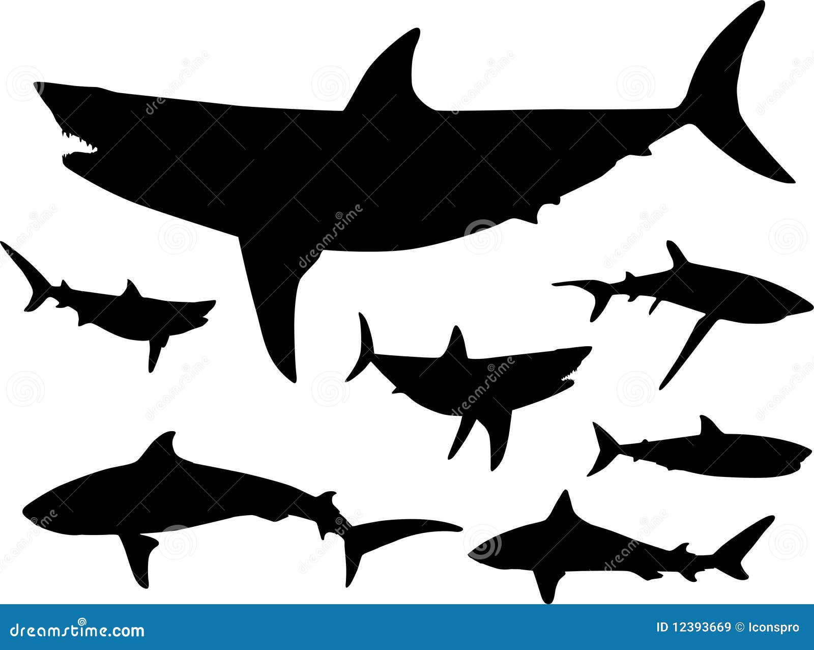 Download Sharks In The Water Silhouette Royalty Free Stock Images ...