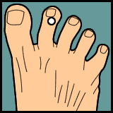 Diagram 18