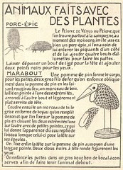 animaux plantes