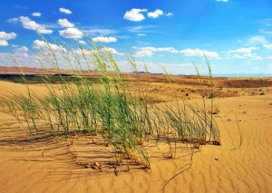 Gobi Desert