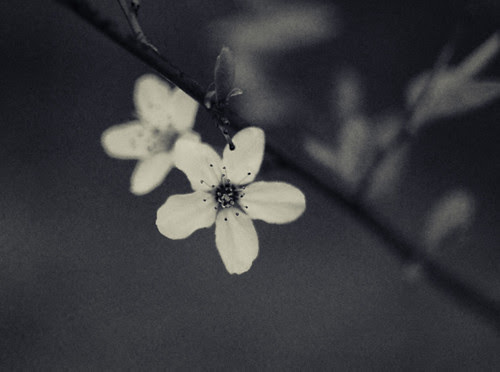 edit image