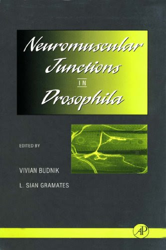 Neuromuscular Junctions in Drosophila: Neuromuscular Junctions in Drosophila (International Review of Neurobiology)