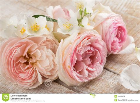 postcard  elegant flowers stock photo image