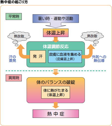 熱中症を防ぐための5ヵ条 熱中症は軽症のうちに対処すれば怖くない ニュース 一般社団法人 日本生活習慣病予防協会