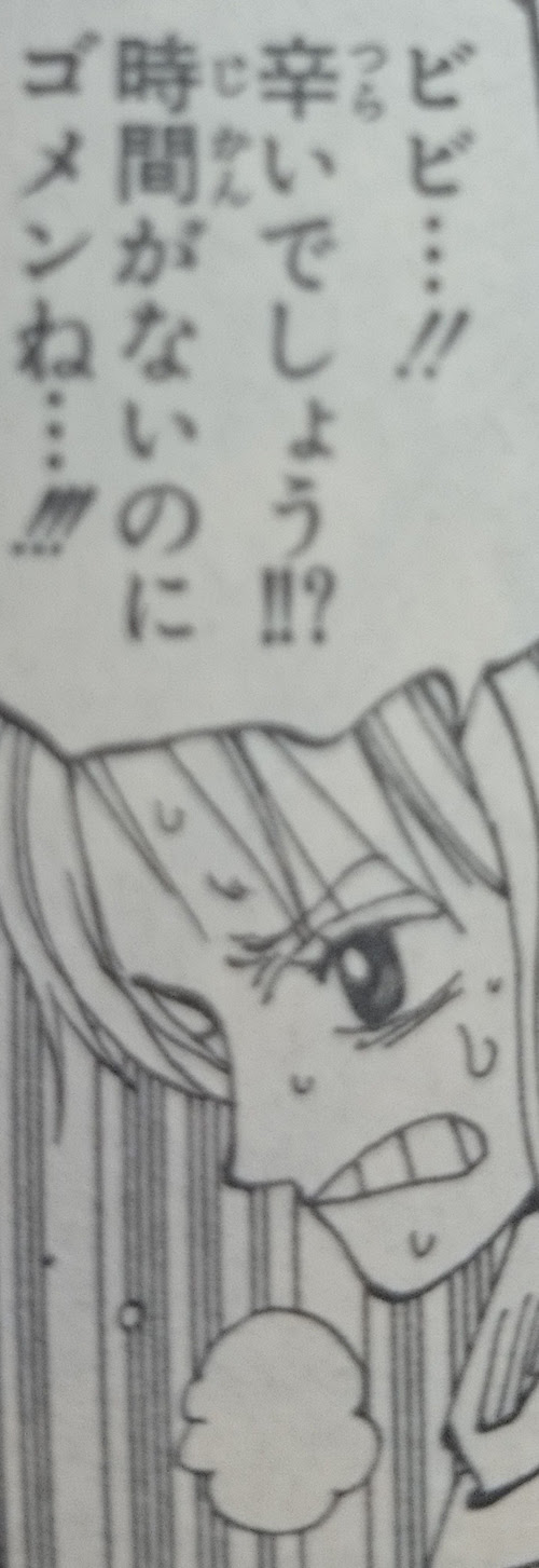 ビビ 辛いでしょう 時間がないのにゴメンね 名言集 ワンピース魂