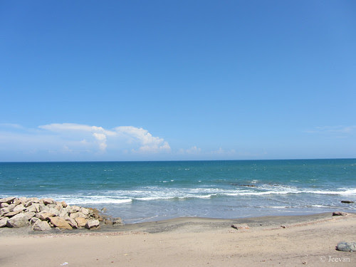 Bay Watch