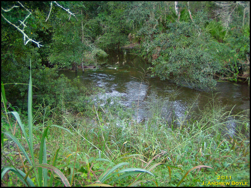 Flow from Bosse Lake