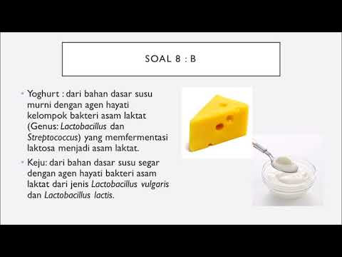 Soal Bioteknologi Kelas Xii 2017