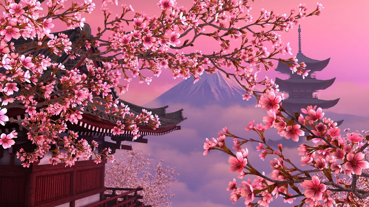 Cherry Blossom HD Wallpaper - WallpaperSafari