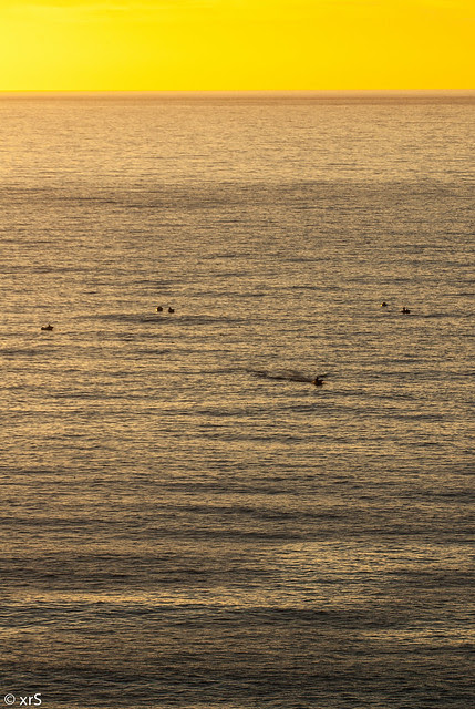O tempo da lura · El momento del calamar · Squid's Time