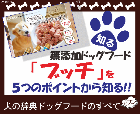 カレーから作る犬の手作りごはん 一石二鳥の簡単レシピ大公開 犬の辞典