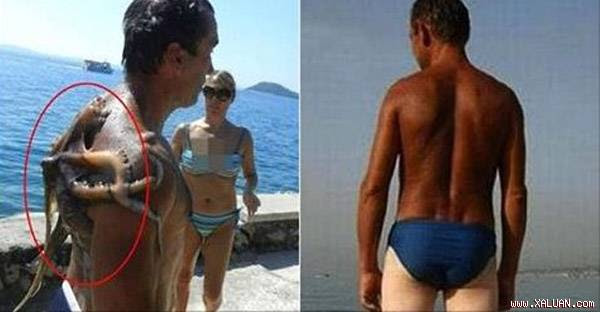Người đàn ông vẫn rất bình thản, nhưng người chứng kiến đã nhảy cẫng lên vì quái vật đại dương hiện hình.