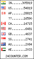 visitors by country counter