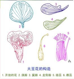 佳木斯市老科学技术工作者协会
