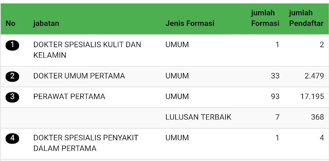Inilah Rincian Jumlah Pelamar CPNS 2017 Beserta Formasinya