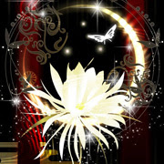 幻獣 龍 鳳凰等 の壁紙一覧1 桜や和柄の幻想的な和風壁紙なら和風 幻想壁紙