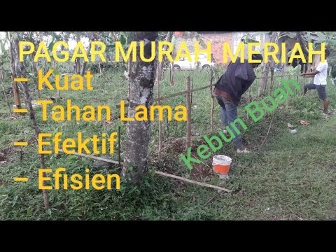 Penting Tips Membuat Pagar Untuk Kebun Buah Yg Murah Tapi Tetap Kuat Efektif Dan Efisien, Paling Baru!