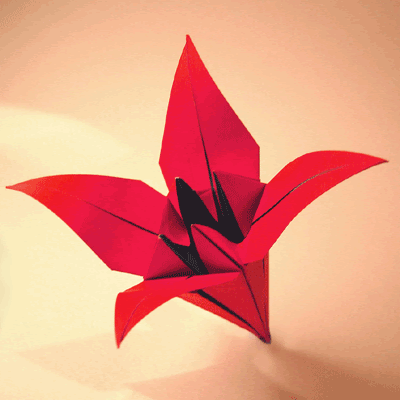 easy origami flower printable instructions models other Browse like the origami lily