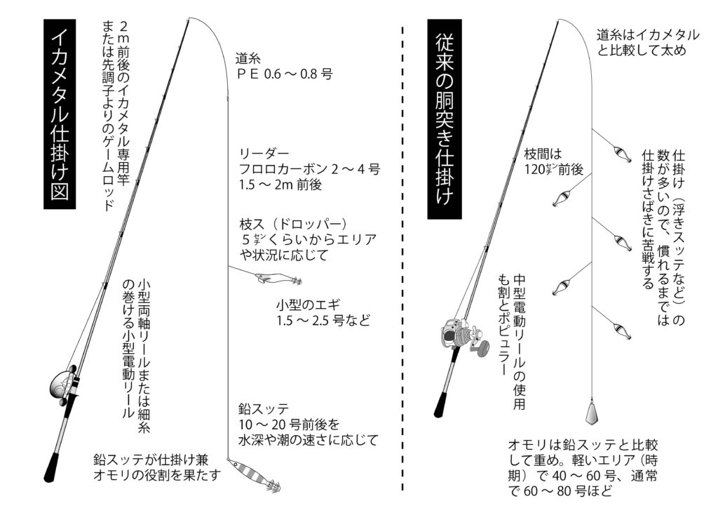美味 和歌山 南紀でケンサキイカ 政昇丸 ニュース つりそく 釣場速報