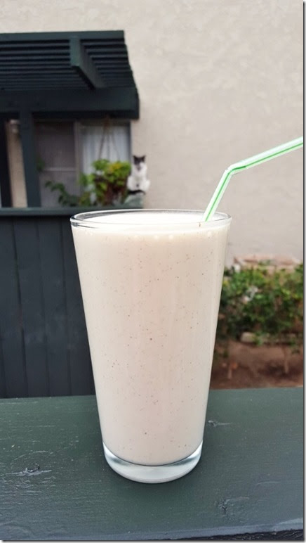 almond butter vanilla smoothie (450x800)
