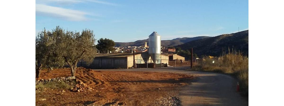 camÃ­ Palanques