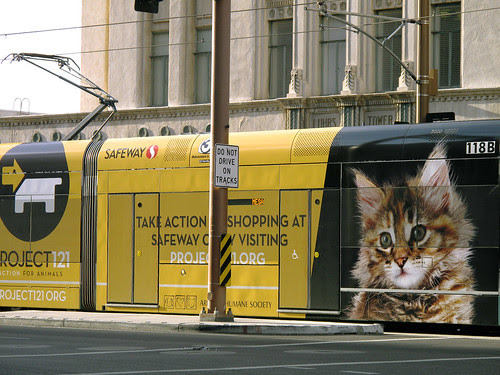 animal humane society