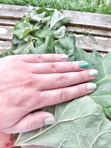 rhubarb leaf green nails