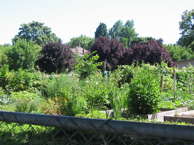 Sewallcrest Park