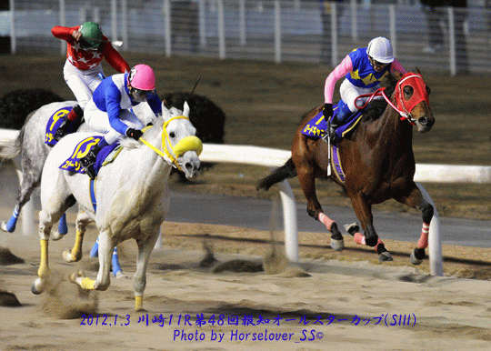 Welcome To Horselover S World 川崎競馬