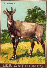 img050