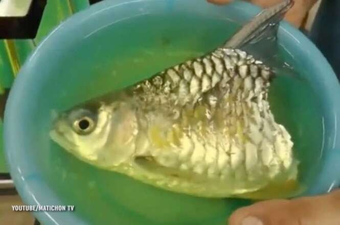 Homem encontra peixe vivo apesar de ter somente metade do corp