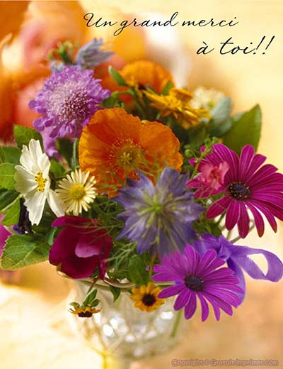 Carte Remerciement Anniversaire Gratuite A Imprimer