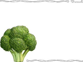 スマホ用ページ ブロッコリー ミドリハナヤサイ メハナヤサイ 緑花野菜 芽花野菜 のポストカード用イラスト 条件付フリー素材集