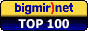 bigmir)net TOP 100