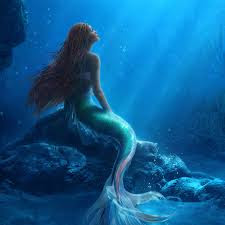 Ariel sitting on a rock, looking out at the sea