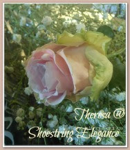 Shoestring Elegance