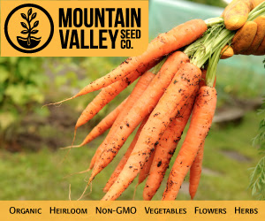MVSeeds.com