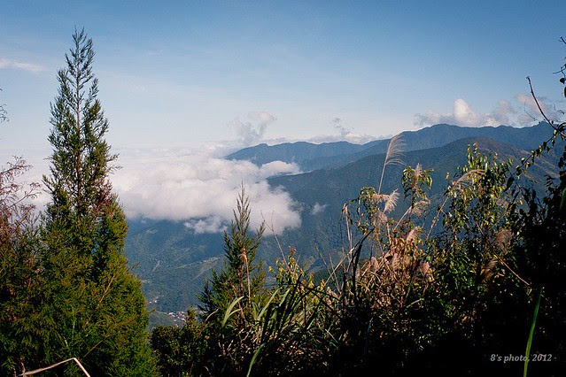 往比林山途中的茅草區看新竹群山及雲海