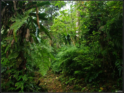 DSC04366