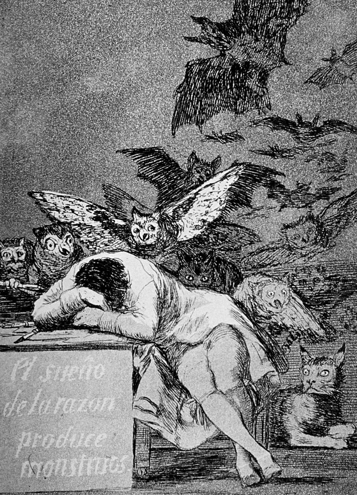 Risultati immagini per Il sonno della ragione genera mostri.