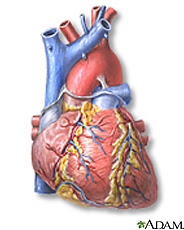 Aging changes in the heart and Aging changes in the heart and