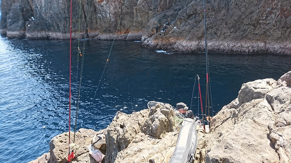鹿児島県宇治群島雀島 鮫島の尾長グレ釣り