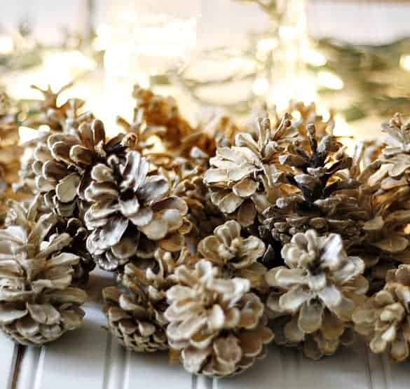 How to Bleach Pine Cones