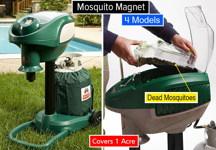 Best Mosquito Repellent for Your Yard Chainsaw Journal Best Mosquito Repellent for Your Yard Chainsaw Journal